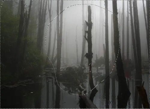 آموزش طراحی گوزن درخشان در فتوشاپ